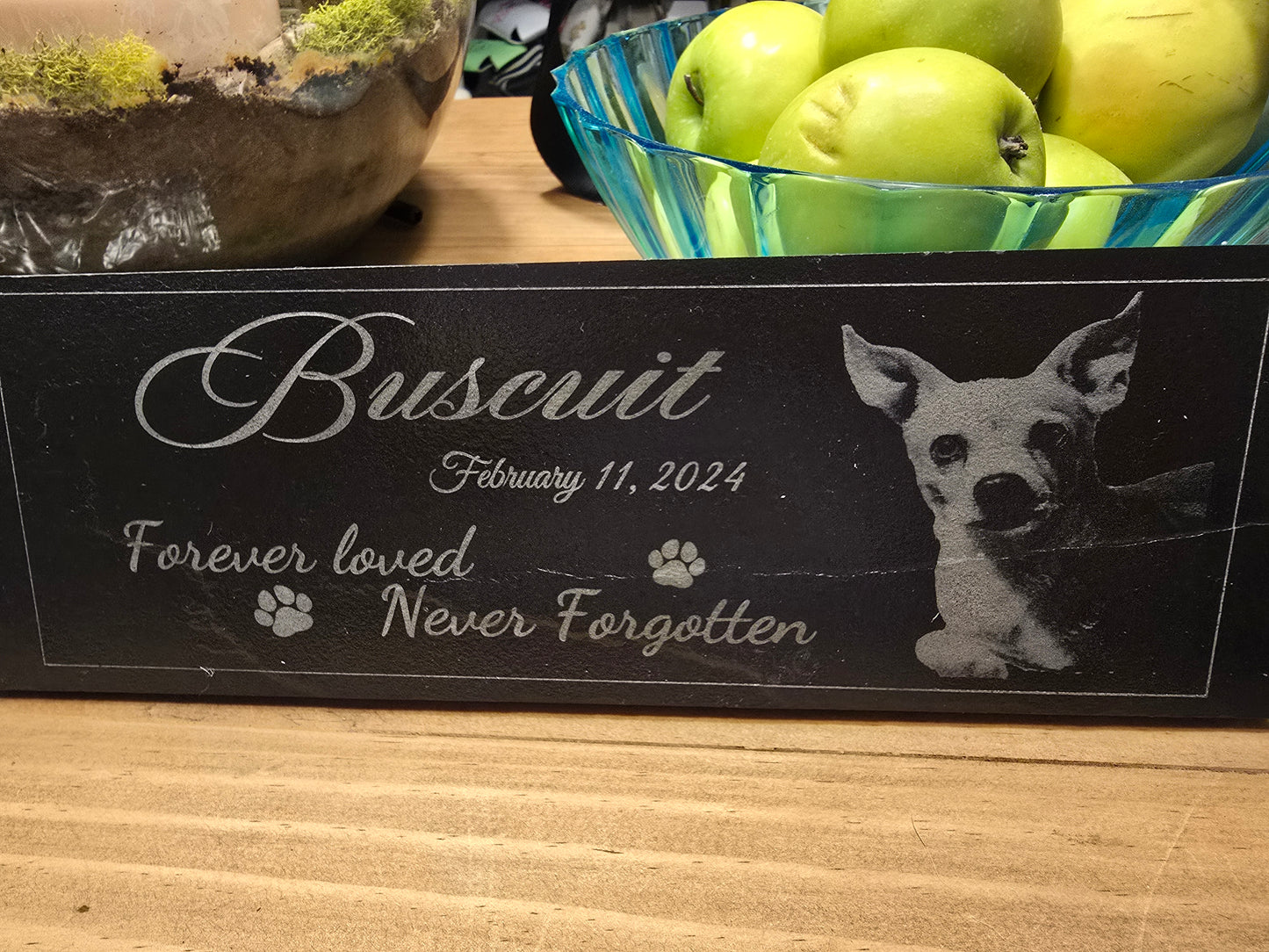 Pet Memorials in Slate