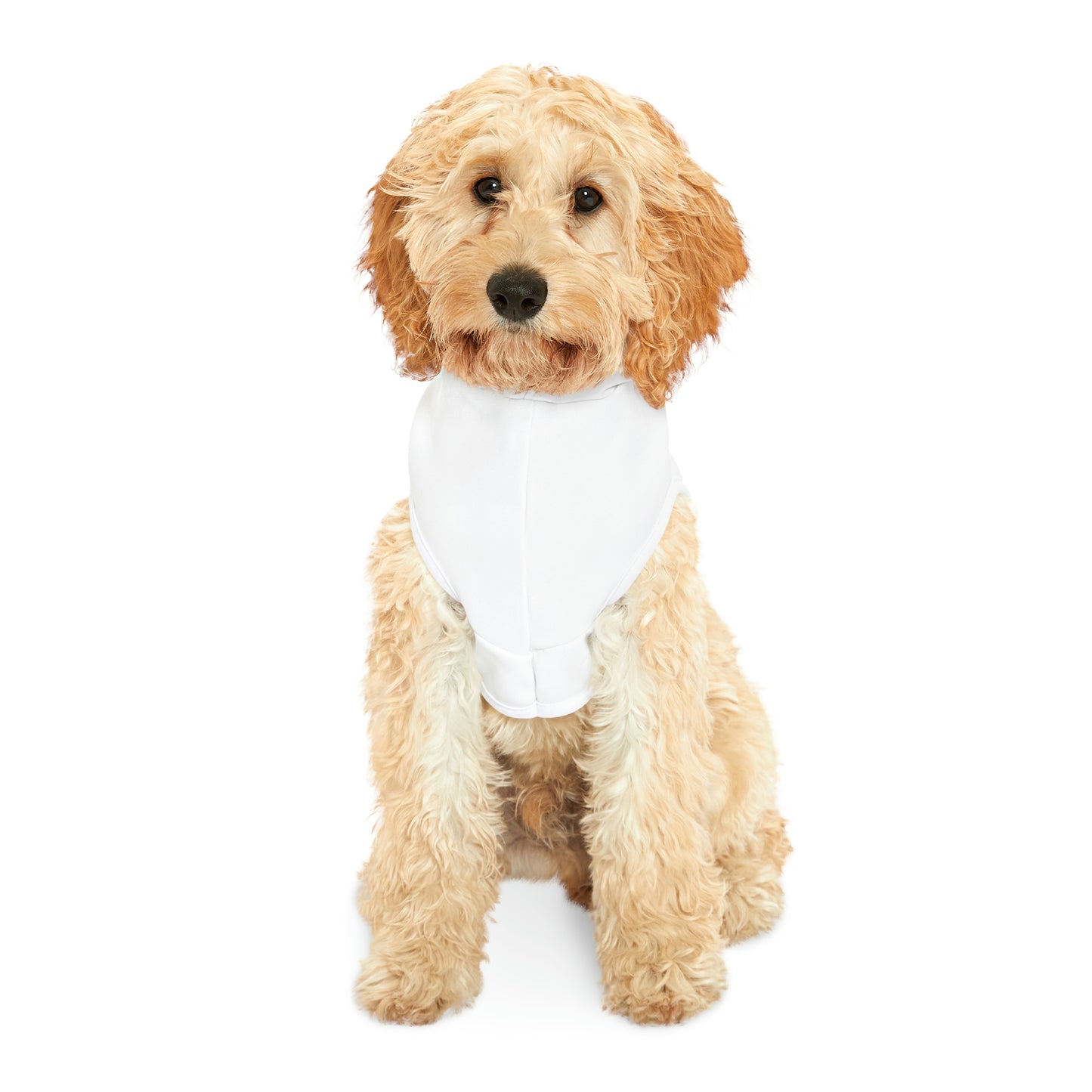 Peace Love and Giggles Dog Hoodie